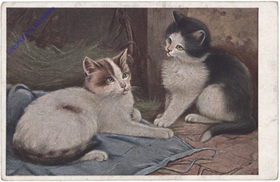 ak146809 Katzen