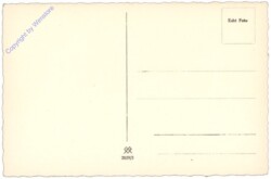 ak146813a Im Körbchen