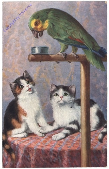 ak146815 Katzen und Papagei