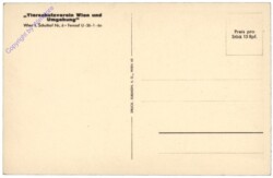 ak146824a Kätzchen