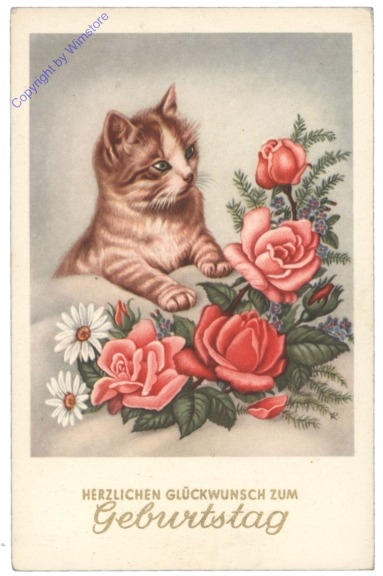 ak146827 Kätzchen mit Blumen