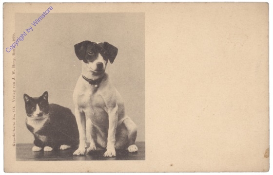 ak146828 Katz und Hund
