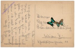 Celje (Cilli), Stari grad