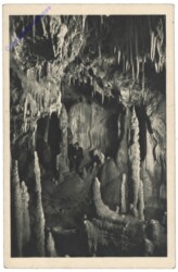 Postojna, Adelsberger Grotte, Tropfsteinwand in der Neue Grotte