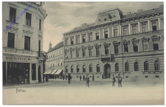 Ptuj (Pettau), Ansicht