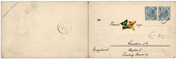 ak147072a Kotor, Panorama Cattaro