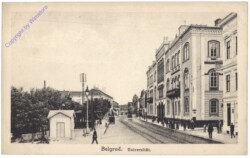 Belgrad, Universität