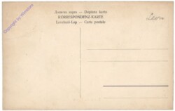 Allgemein, Bosnische Typen