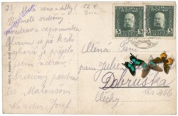 Bosanski Brod, Glavna ulica