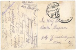 Novi Sad, Röm.kath. templom