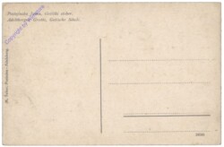 ak147346a Postojna, Adelsberger Grotte, Gotische Säule