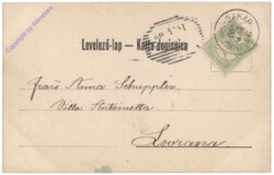 Baker (Buccari), Corso