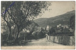 ak147531 Lovran, Olivenbäume an der Strasse