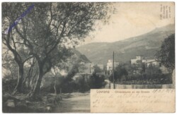 Lovran, Olivenbäume an der Strasse