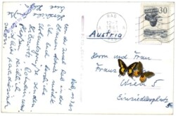 ak147693a_1 Rab (Insel, Raba), Ansicht