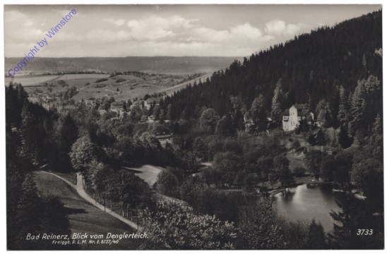 Duszniki-Zdroj (Bad Reinerz), Blick vom Denglerteich