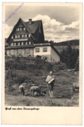 Jelenia Gora (Hirschberg), Gruss aus dem Riesengebirge