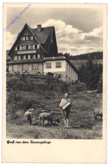 Jelenia Gora (Hirschberg), Gruss aus dem Riesengebirge