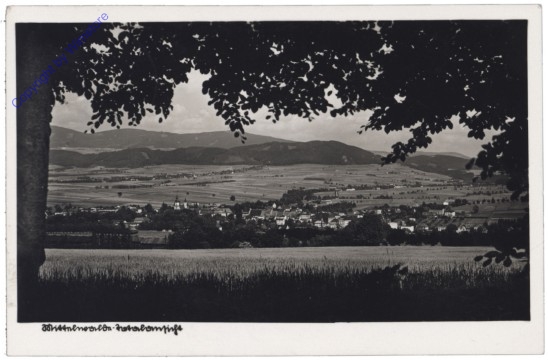 Miedzylesi (Mittelwalde), Ortsansicht
