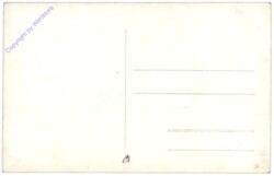 Poznan (Posen), Schloss