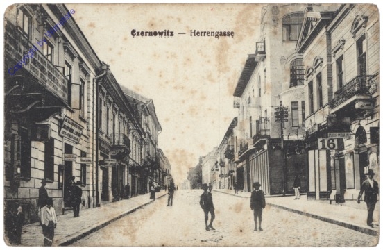 ak148505 Czernowitz, Herrengasse