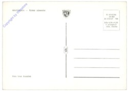 Bratislava, Rybne namestie