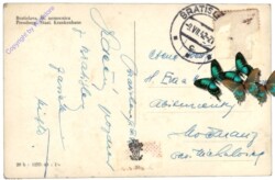 Bratislava, Staat. Krankenhaus