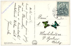 Vysoke Tatry (Hohe Tatra), Demänovske jaskyne