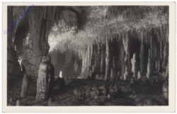 Vysoke Tatry (Hohe Tatra), Demänovske jaskyne