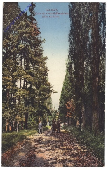 ak149391 Sliac, Allee Auffahrt