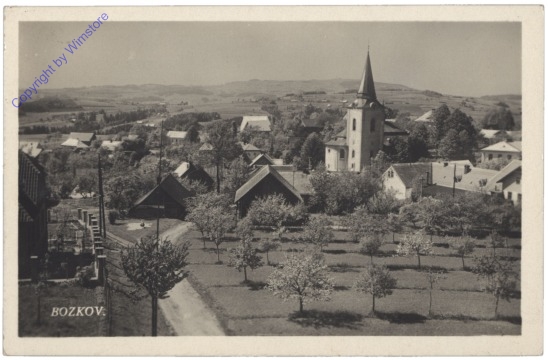 ak149537 Bozkov, Ortsansicht
