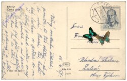 Brno (Brünn), Ceska ulice