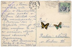 Brno (Brünn), Ansicht