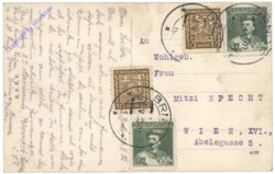 Brno (Brünn), Vysoka skola zverolekarska