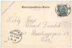 Brno (Brünn), Neugasse von Cafe Biber aus