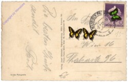 Cesky Krumlov (Krumau), Motiv vom Schloss