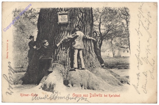 Dalovice, Körner-Eiche