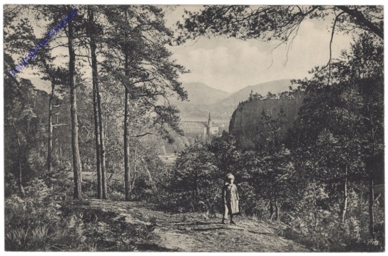 ak150037 Decin (Tetschen), Schloß Tetschen vom Rotberg