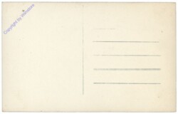 Decin (Tetschen), Schloss