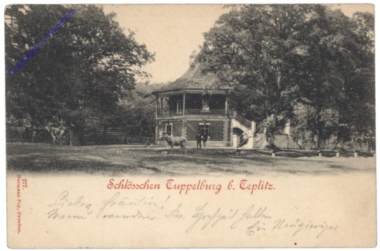 Dubi (Eichwald), Schlößchen Tuppelburg