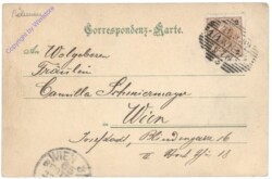 Dubi (Eichwald), Schlößchen Tuppelburg