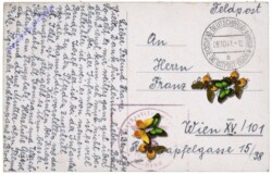 Havlickuv Brod, Ansicht