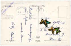 ak150233a Jihlava (Iglau), Ortsansicht