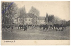 Kladruby (Kladrau), Ansicht