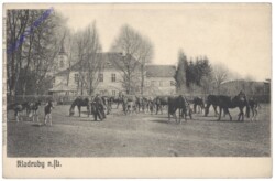 Kladruby (Kladrau), Ansicht