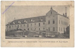 Kolin, Genossenschafts Krautfabrik mit Dampfbetrieb