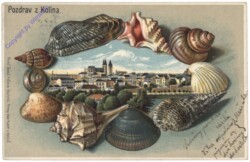 Kolin, Ansicht mit Muscheln