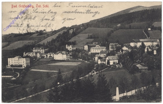 ak150688 Lazne Jesenik (Bad Gräfenberg), Ortsansicht