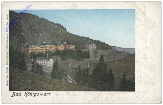 ak150690 Lazne Kynzvart (Bad Königswart), Ansicht