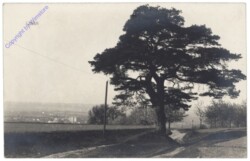 ak150704 Liban, Ansicht